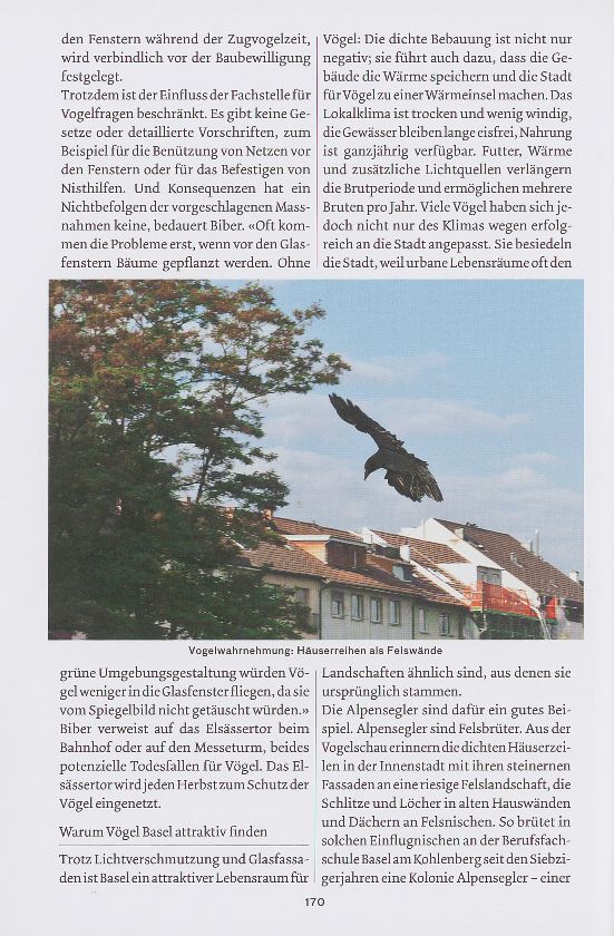 Basel aus der Vogelperspektive – Seite 3