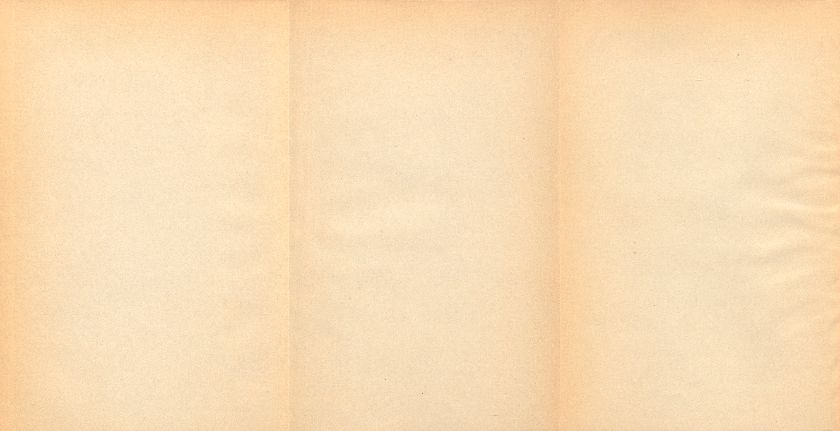 Der dritte August 1833. Mit einer Situationskarte – Seite 3
