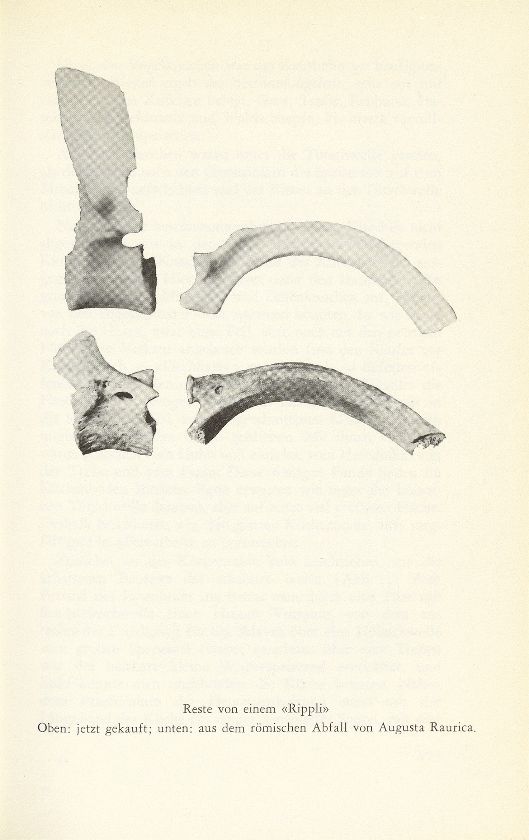 Tierreste aus einer Grossküche von Augusta Raurica – Seite 2