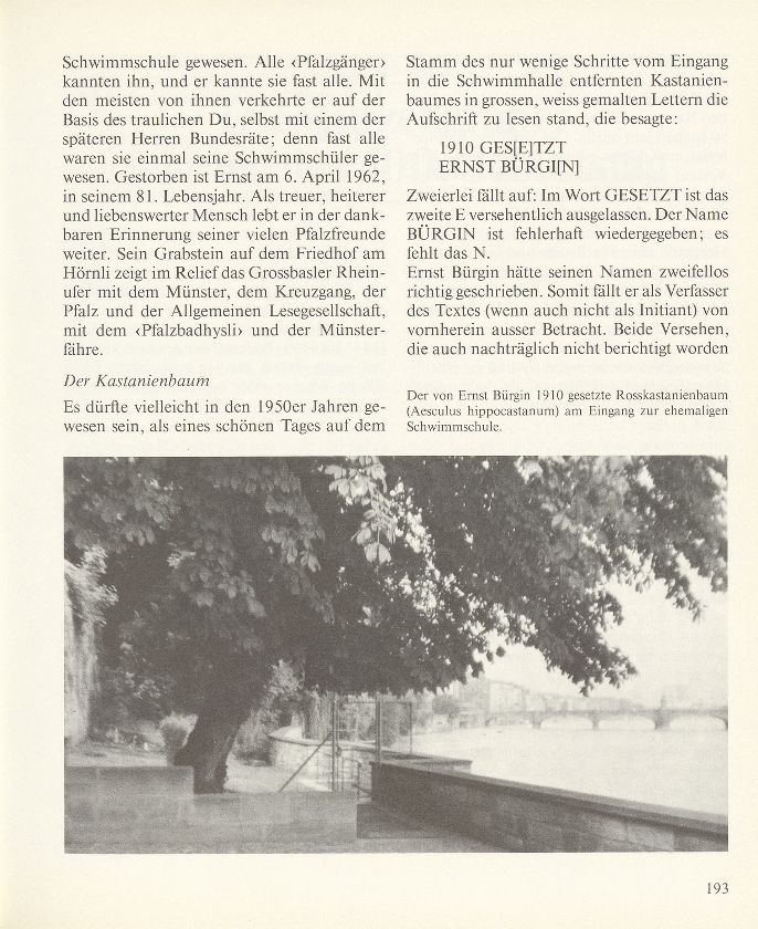 Ernst Bürgin und sein Kastanienbaum bei der Schwimmschule Pfalz – Seite 3