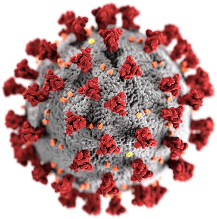SARS-CoV-2-Virus – {source?html}