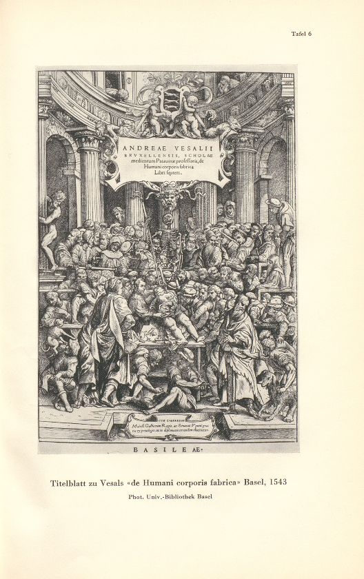 Ein Erinnerungsblatt an Andreas Vesalius – Seite 3