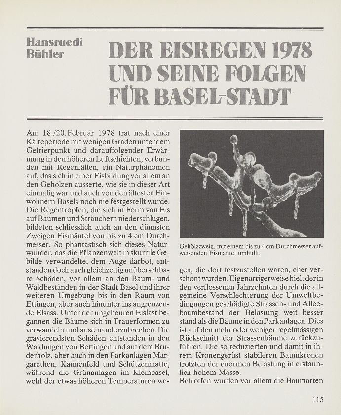 Der Eisregen 1978 und seine Folgen für Basel – Seite 1