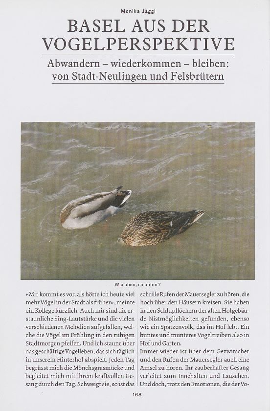 Basel aus der Vogelperspektive – Seite 1