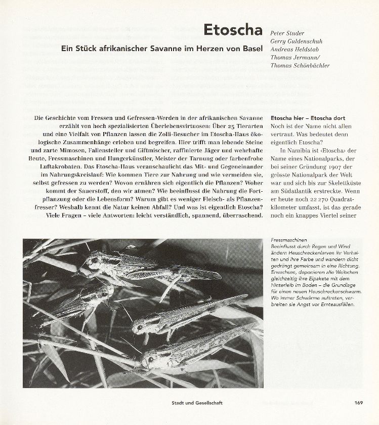 Etoscha – Seite 1