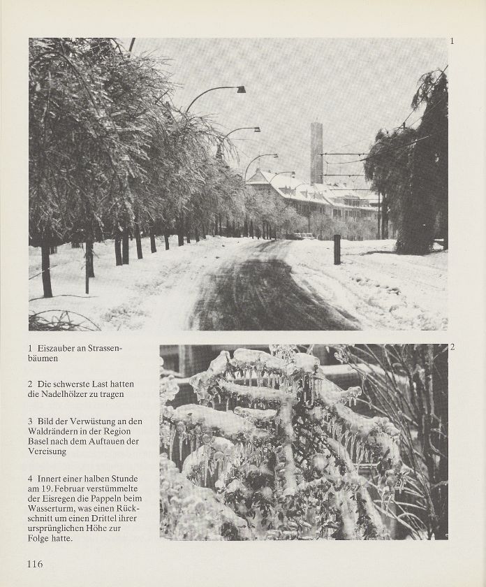 Der Eisregen 1978 und seine Folgen für Basel – Seite 2