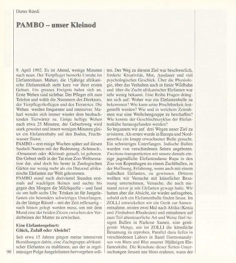 PAMBO – unser Kleinod – Seite 1