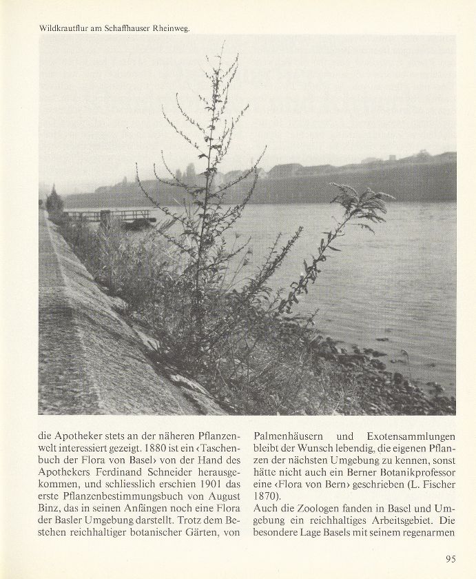 Der Basler Natur-Atlas – Seite 3